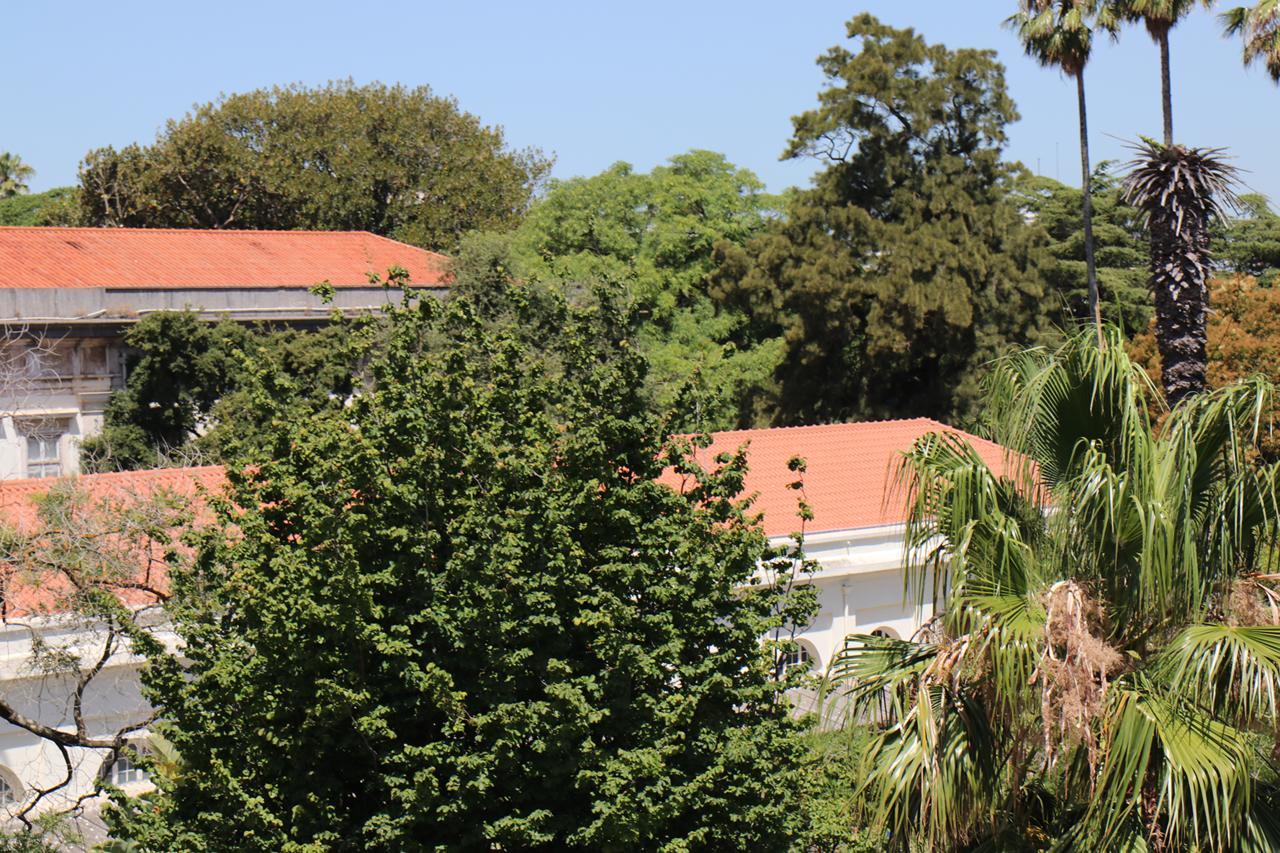 Botanic Views Guest House Lisboa Eksteriør bilde