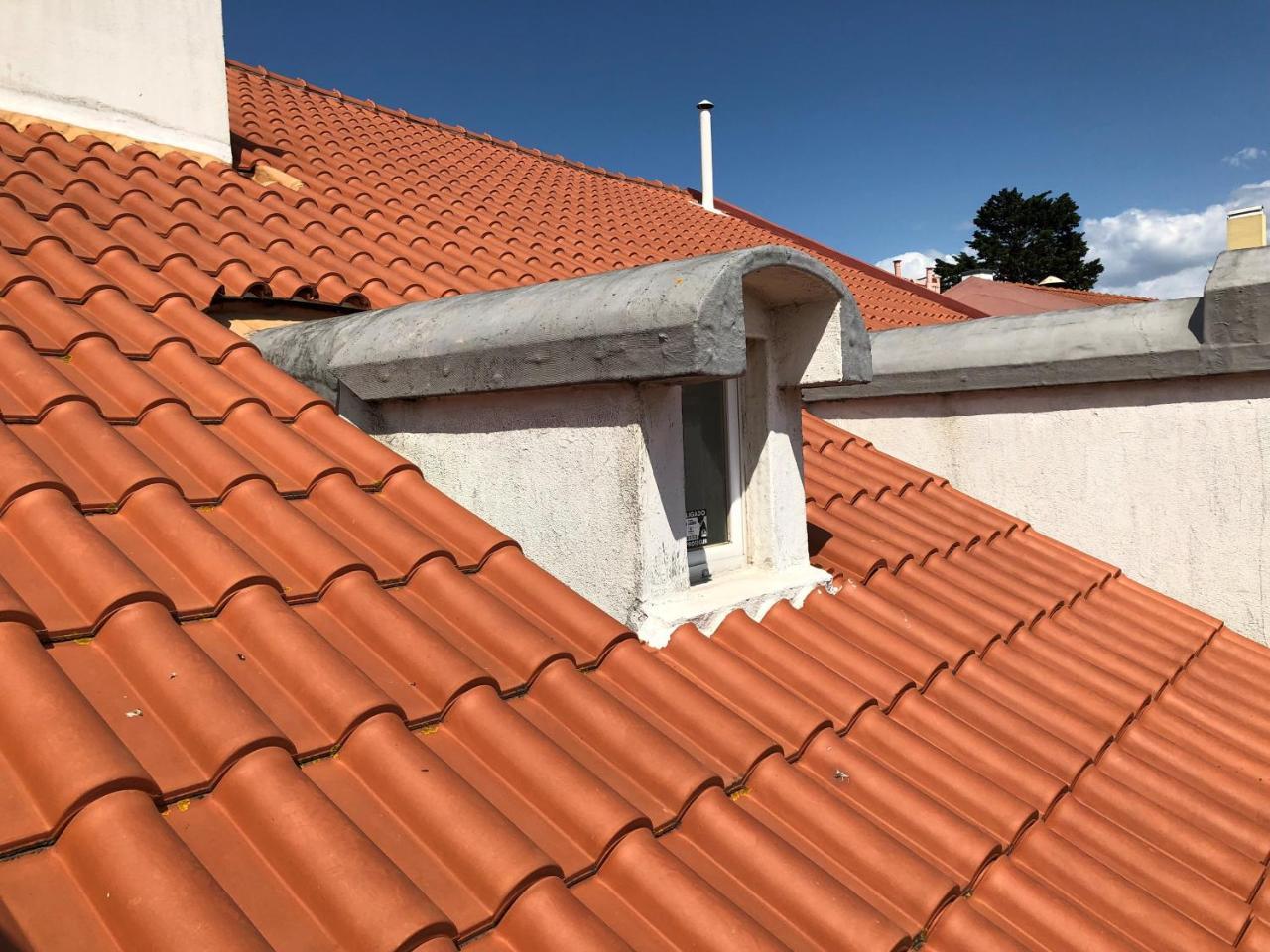 Botanic Views Guest House Lisboa Eksteriør bilde
